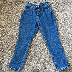 Everlane Cheeky 90’s Jean Curvy Style